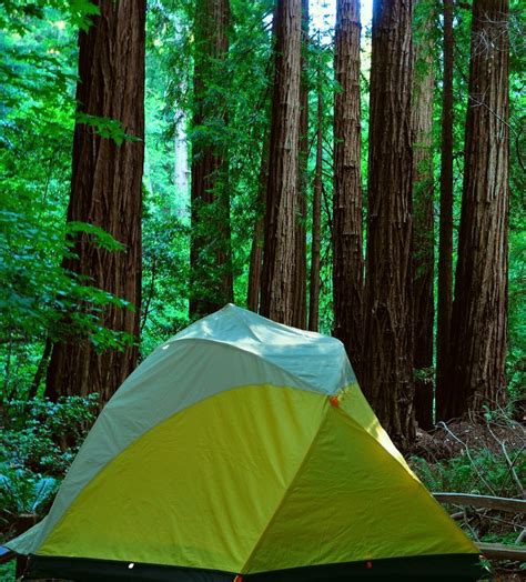 Redwood National Park | National parks, Summer road trip, Canada national parks