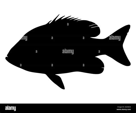Tilapia fish silhouette vector art Stock Vector Image & Art - Alamy