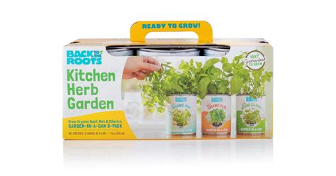 Indoor Herb Garden Kits To Grow At Home & In Apartments