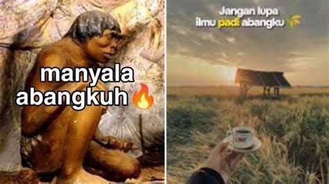 Arti Kata Menyala Abangku dan Ilmu Padi, Bahasa Gaul Viral, Awalnya ...