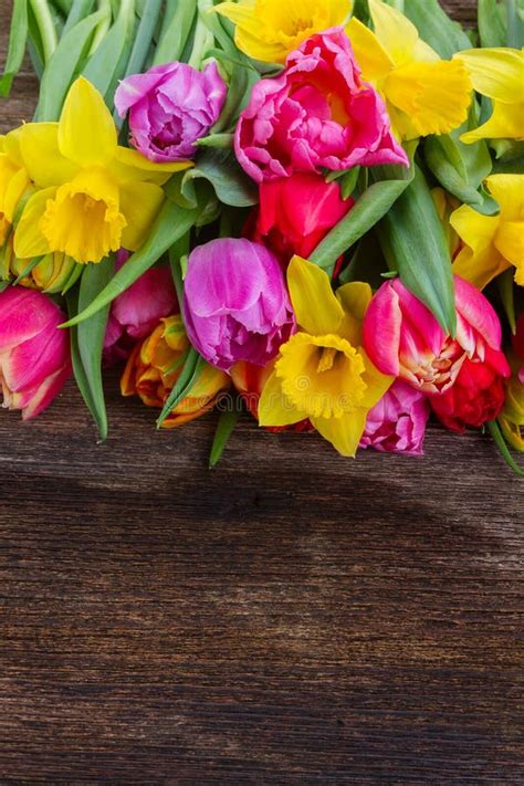 Bouquet Of Tulips And Daffodils Stock Image - Image of mothers, border ...