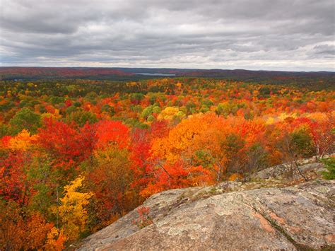 Algonquin Park | elzbieta krawecka blog