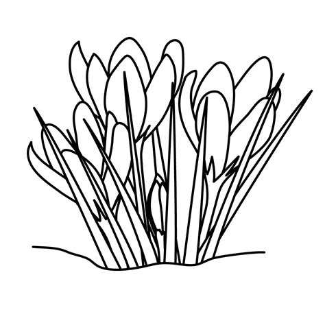 spring flower clip art black and white - Clip Art Library