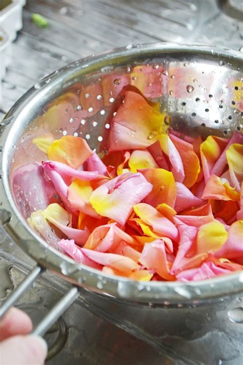 Homemade rose water: A quick and easy method - Wallflower Kitchen