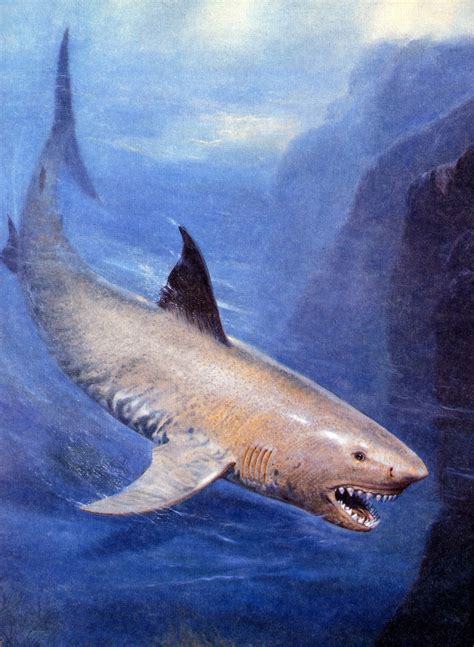 Zdeněk Burian: Carcharodon