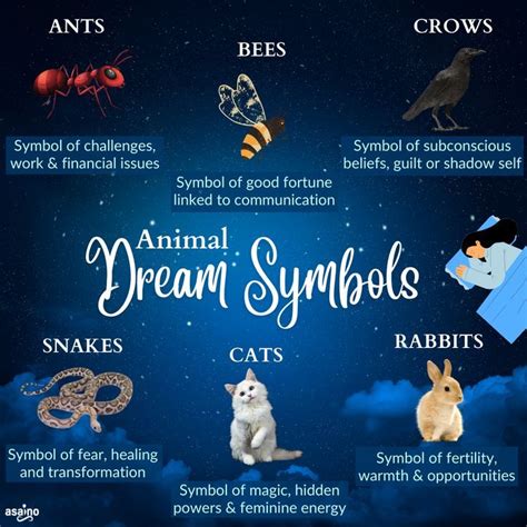 Animal Dream Symbols in 2022 | Dream symbols, Animal symbolism, Healing symbols