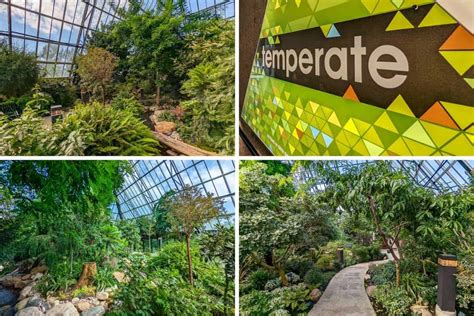 Visiting the Muttart Conservatory in Edmonton (for 2024)