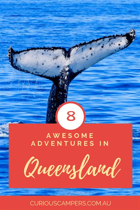 8 Awesome Attractions in Queensland | Curious Campers