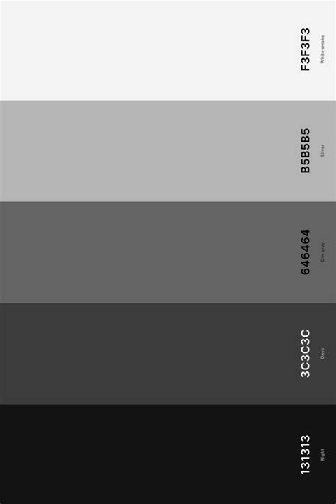 25+ Best Black Color Palettes with Names and Hex Codes in 2024 | Black color palette, Silver ...