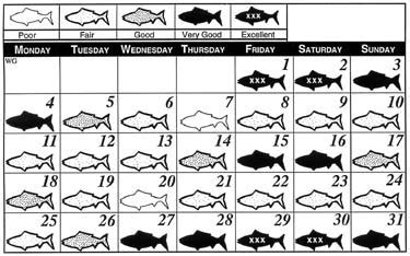 Gulf Coast Fisherman - FALL 2017 (OCT-DEC)