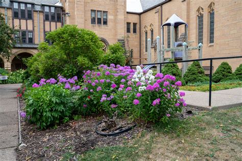 University Baptist Church | July 22, 2021 site walkthrough. | Flickr