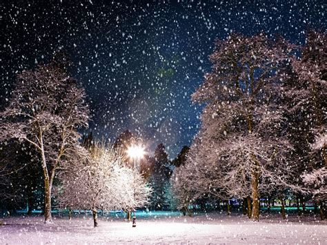 Snowy Night Background - HD Wallpapers Blog