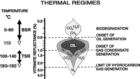 sulfate reduction | Semantic Scholar