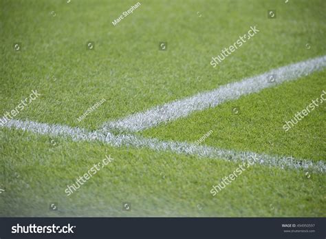 Soccer Field Natural Grass Stadium Stock Photo 494950597 | Shutterstock