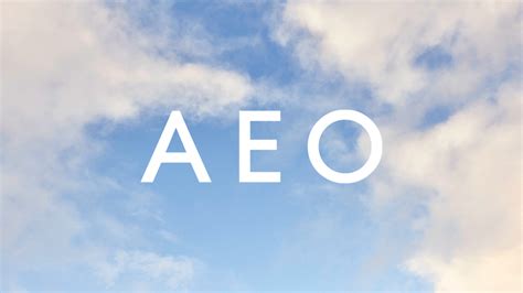 AEO Inc. Establishes the Aerie Real Foundation, Building on Aerie’s ...