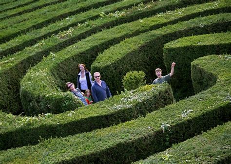 11 of the best mazes in the UK, from Hampton Court to Blenheim Palace