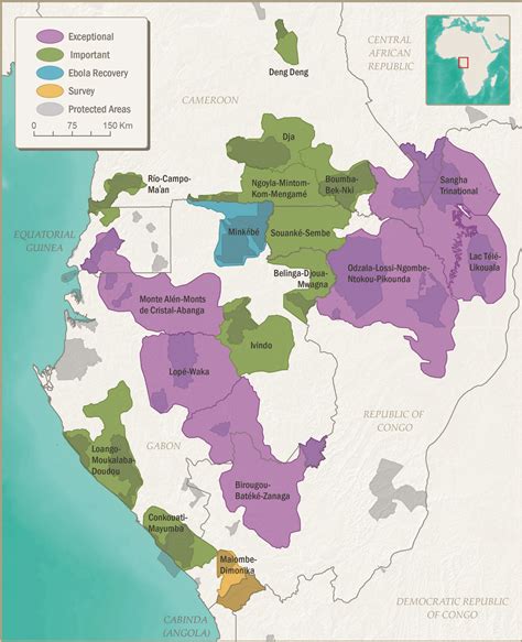 New Action Plan for Western Lowland Gorilla Conservation - Berggorilla ...