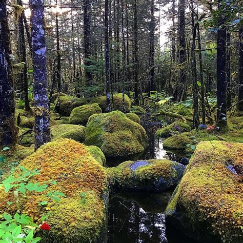 Juneau - Approaches to Mendenhall Glacier : r/alaska