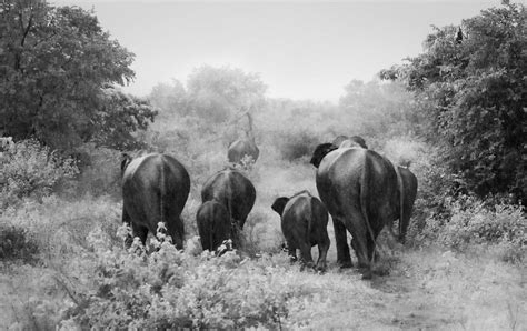 30 Stunning Winning Photos Of The 2021 World Nature Photography Awards