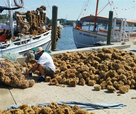 Tarpon Springs Sponge Docks - 2020 What to Know Before You Go (with ...