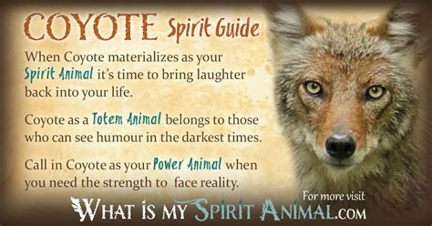 Coyote Symbolism & Meaning | Spirit, Totem & Power Animal | Kraftdjur, Självhjälp, Djur