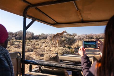 Inverdoorn Game Reserve in South Africa - Safaris Down South