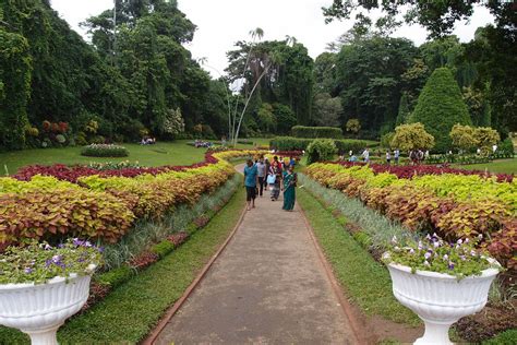 Royal Botanical Garden | Kandy, Sri Lanka | Lota Hilton | Flickr