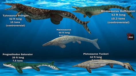 Mosasaurus Size Comparison