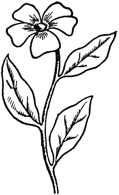 Flower drawings easy |coloring pages for adults, coloring pages ... - ClipArt Best | Easy flower ...