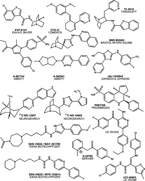 7 nicotinic acetylcholine receptor agonists. | Download Scientific Diagram