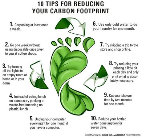 Ways to reduce carbon footprint – Artofit