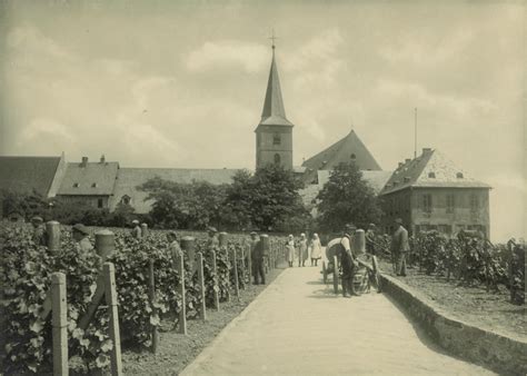 History of the Wine Estate – Kloster Eberbach