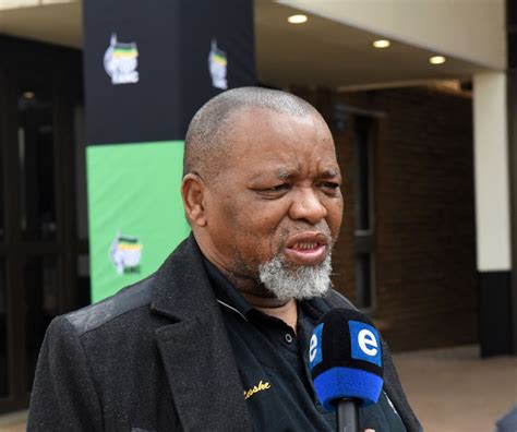 It will take 17 years to close shafts – Mantashe on illegal mining