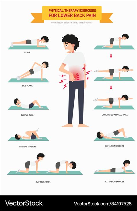 Physical therapy exercises for lower back pain Vector Image