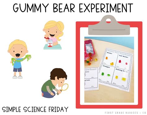 Simple Science: Gummy Bear Experiment | First Grade Buddies