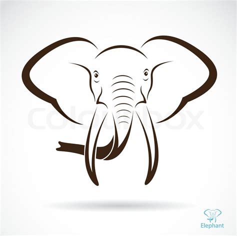 Vector image of an elephant head , ... | Stock vector | Colourbox