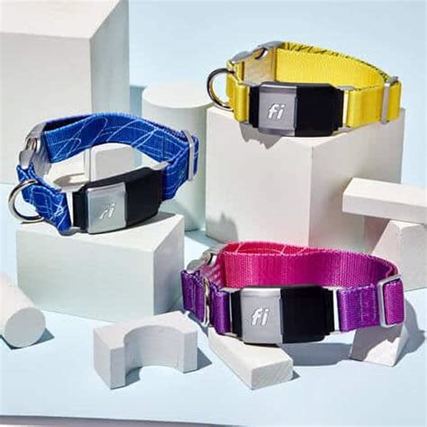 Fi Smart Dog Collar Review - Pet Life Today