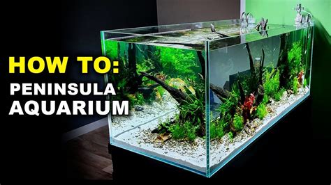 Aquascape Tutorial: 4ft PENINSULA ASIAN FISH AQUARIUM: Planted Tank (How To: Step By Step Guide ...