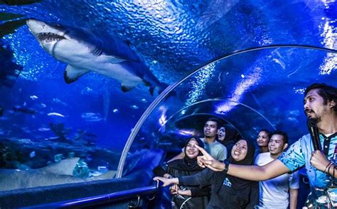 Book Aquaria KLCC Tickets [Updated 2021] | Headout