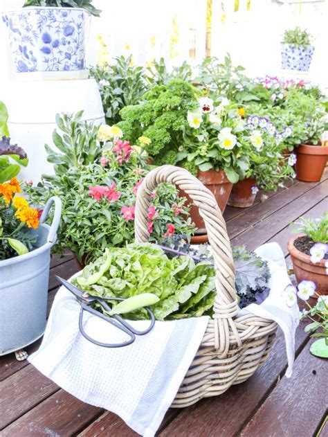 how to grow a kitchen garden in pots - my lovely little lunch box