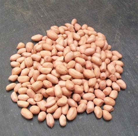 Peanut (Kacang Tanah) 500g - DeGrocery.com