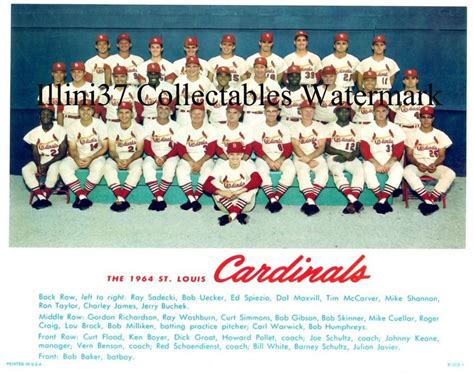 1964 ST. LOUIS CARDINALS WORLD SERIES CHAMPIONS 8X10 TEAM PHOTO GIBSON BROCK | Cardinals world ...