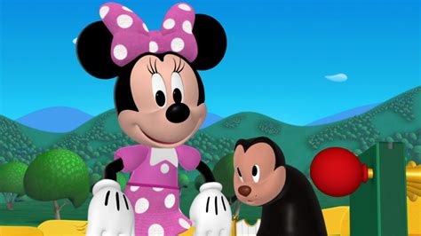 Pluto's Playmate (Mickey Mouse Clubhouse episode) | Disney Wiki | FANDOM powered by Wikia