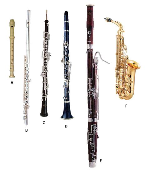 Woodwind Family Instruments List