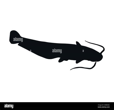 Vector hand drawn catfish fish silhouette Stock Vector Image & Art - Alamy