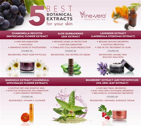 Botanical Skin Care Ingredients | Vine Vera Blog