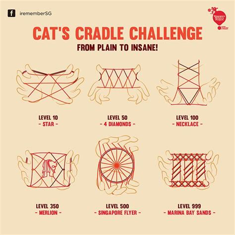 Cat's Cradle Infographic on Behance | Cats cradle, Cradle, Family fun games