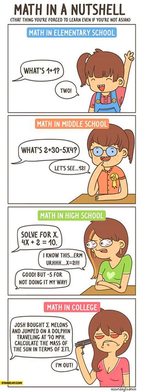 Math in a nutshell elementary middle high school college | StareCat.com