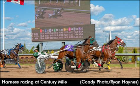 Racing To Resume At Century Mile | Standardbred Canada