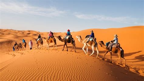 Camel Rides in the Sahara Desert | CuddlyNest Travel Blog